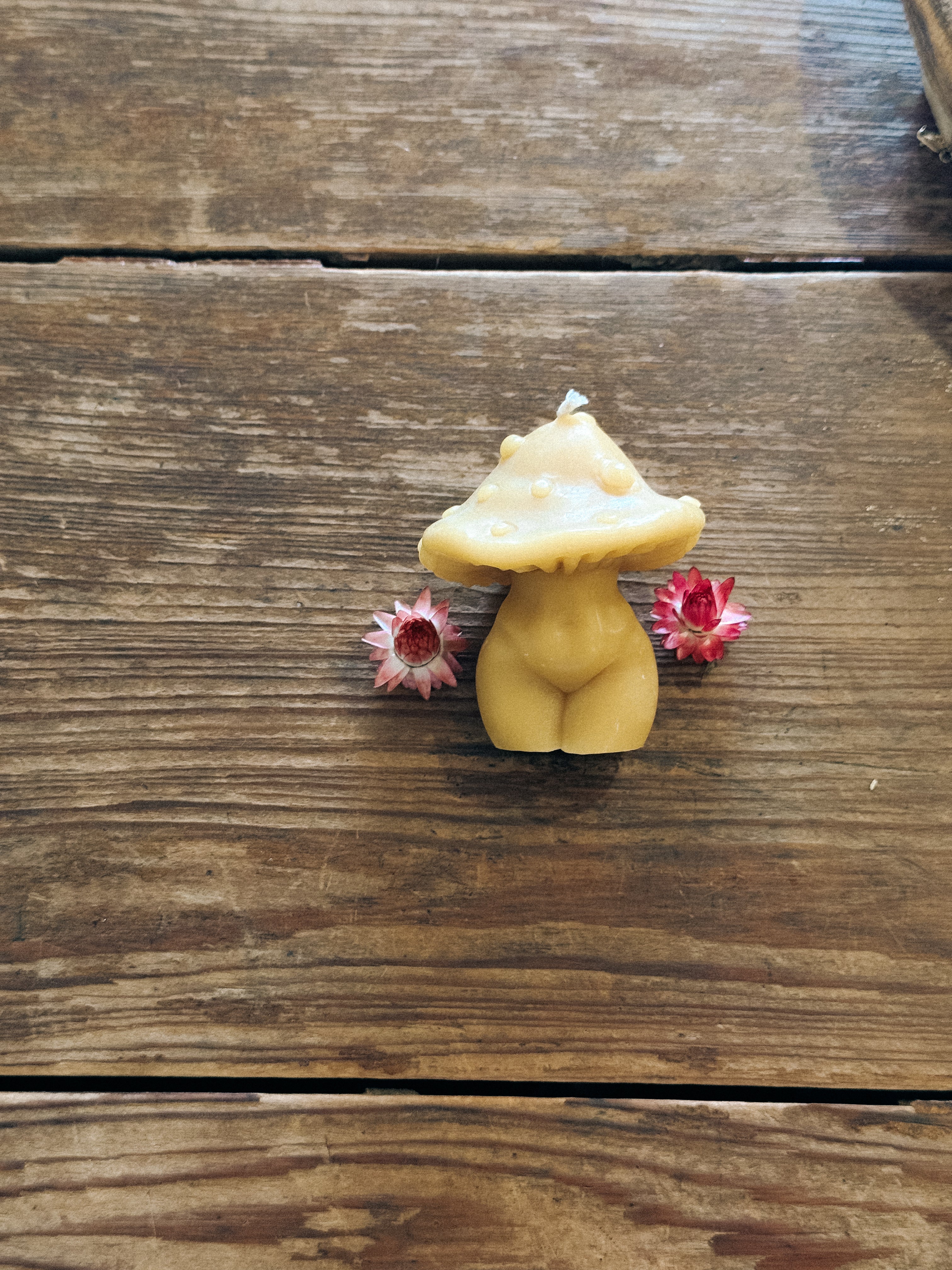 Mushroom Madre Beeswax Candle