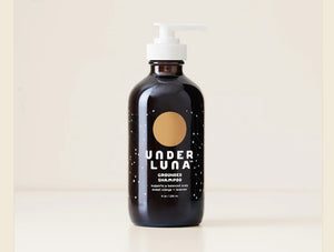 Grounded Shampoo