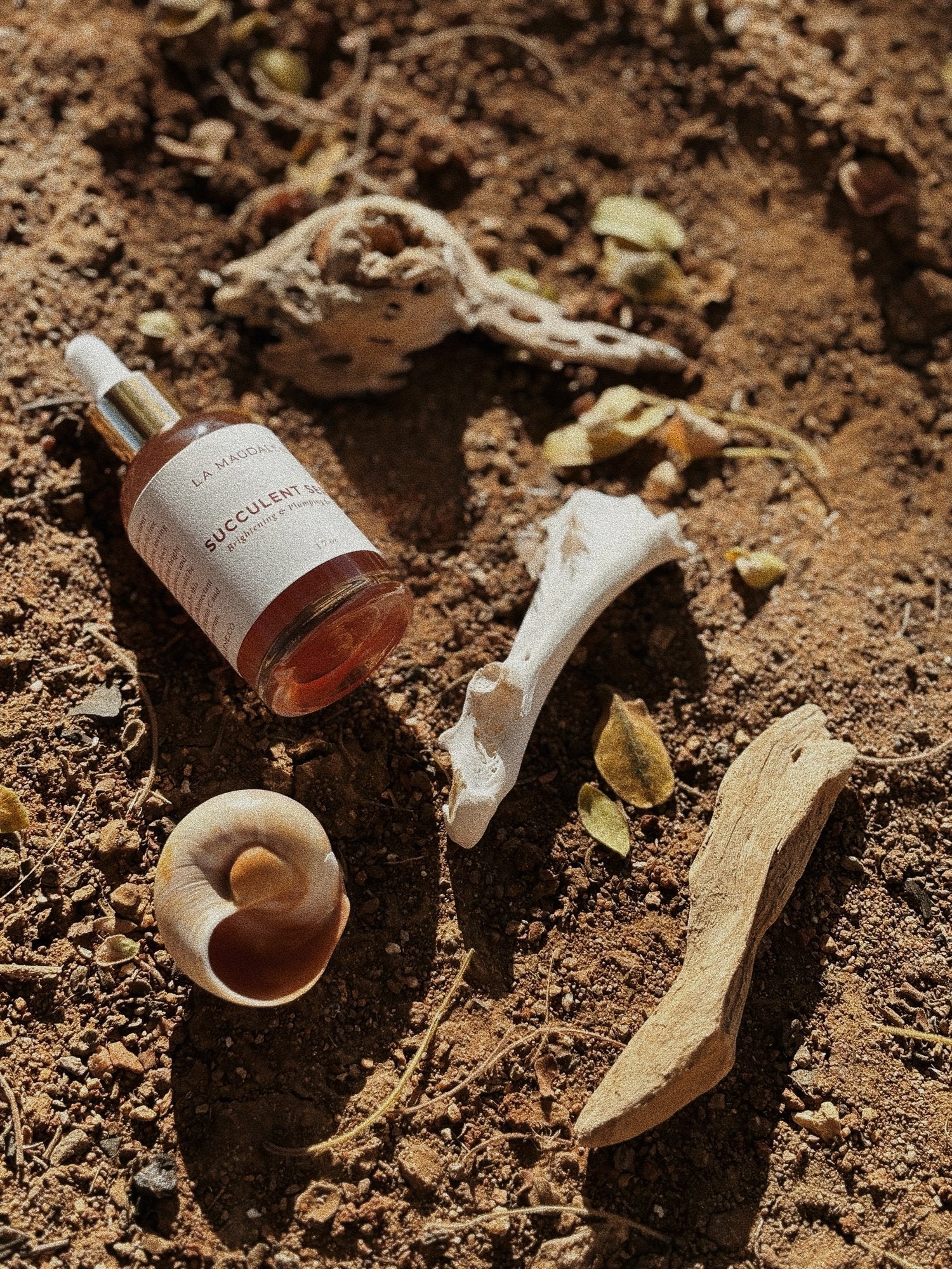 La Magdalene Succulant Serum
